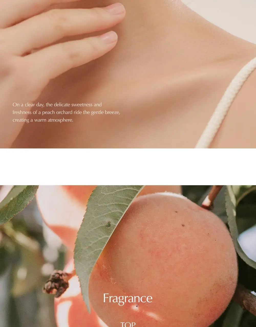 [러블리데이트향수] 루아페 EDP 30ml 9종 택1 (단품/기획) 상세페이지 43